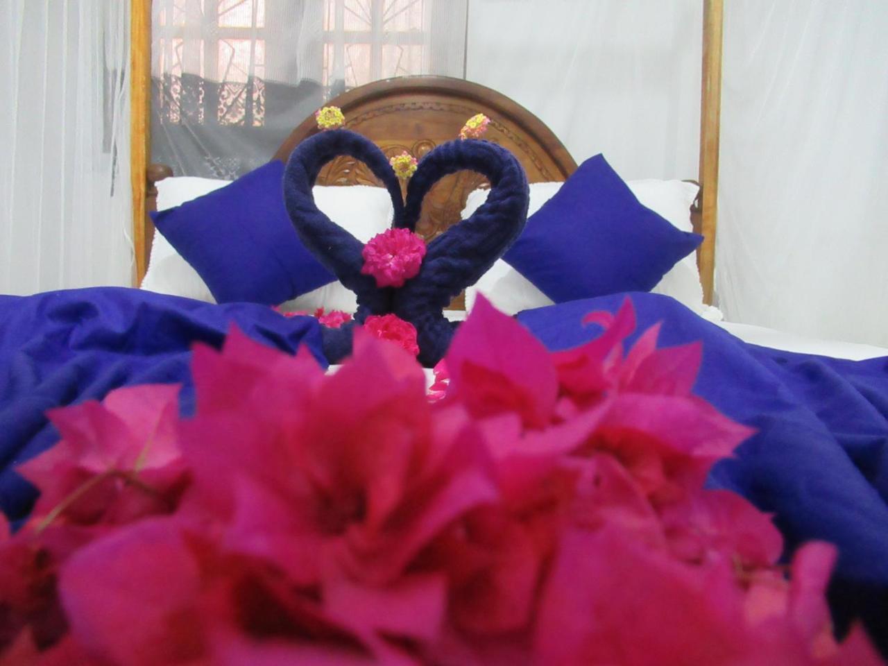 Timasha Home Stay Tangalle Dış mekan fotoğraf